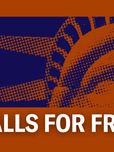 On an orange background is a zoomed in rectangular cut of the Statue of Liberty's face in dark blue. Below the cut out is white text that reads "FIREWALLS FOR FREEDOM."