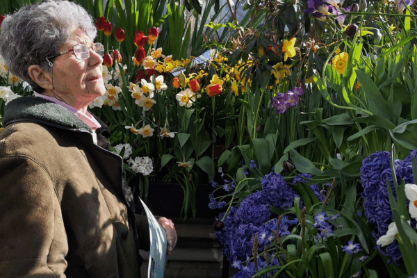 A white woman with short gray hair is surrounded by tulips in a greenhouse. She is looking at tulips in front of her, her right side facing the camera.
