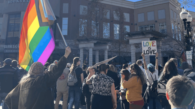 In front of a Barnes & Nobles, a crowd stands in front of a stage. Several people are holding signs, LGBTQIA+ flags, etc.