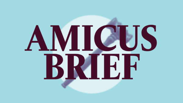 On a light blue background, there is a white circle in the middle with a gavel on top of the circle. Right over the circle and gavel is the text "AMICUS BRIEF" in a dark maroon.