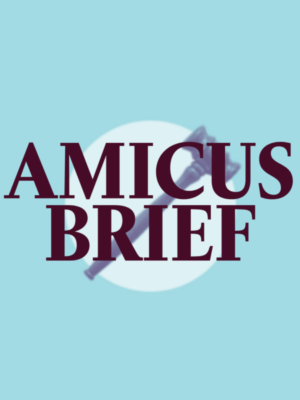 On a light blue background, there is a white circle in the middle with a gavel on top of the circle. Right over the circle and gavel is the text "AMICUS BRIEF" in a dark maroon.