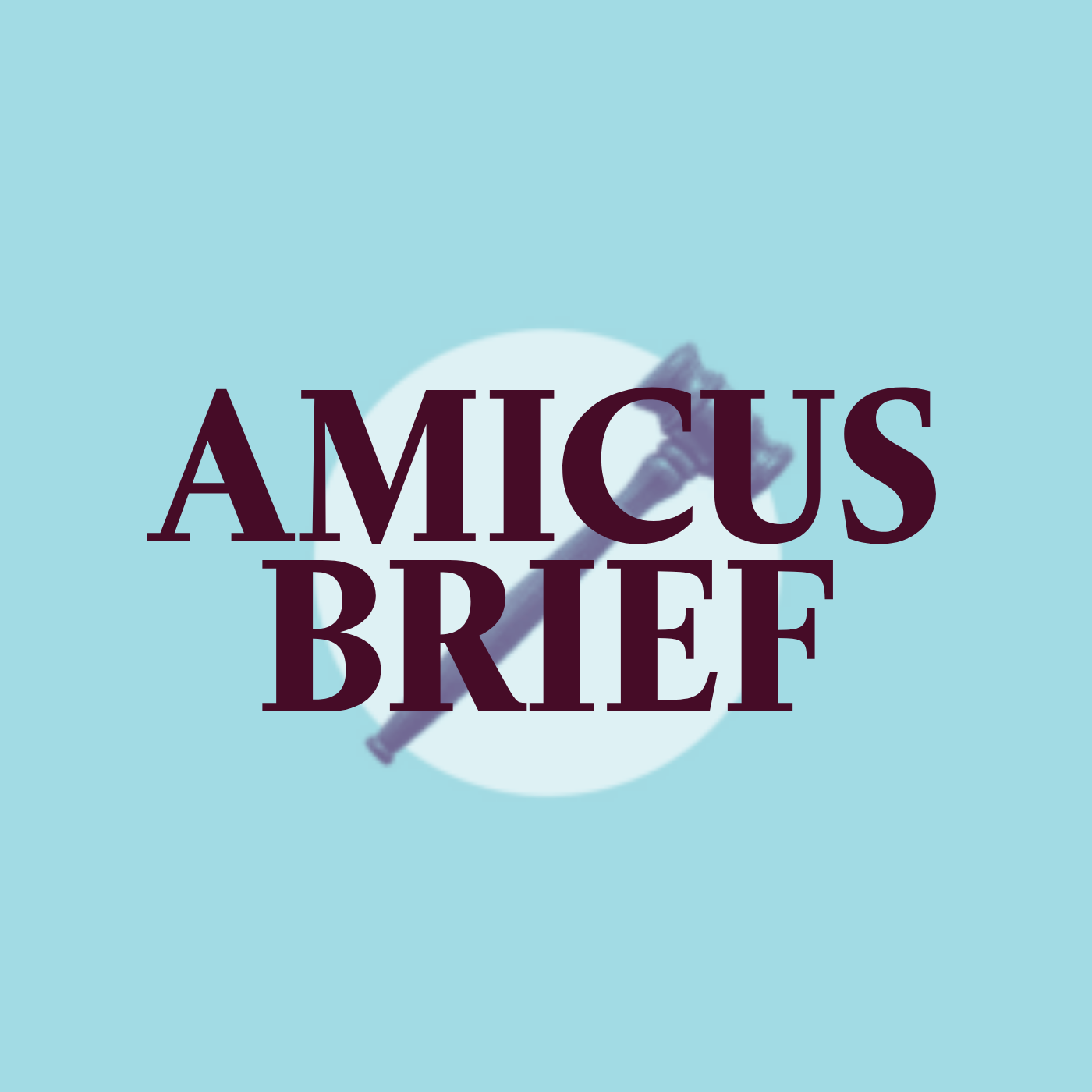 On a light blue background, there is a white circle in the middle with a gavel on top of the circle. Right over the circle and gavel is the text "AMICUS BRIEF" in a dark maroon.