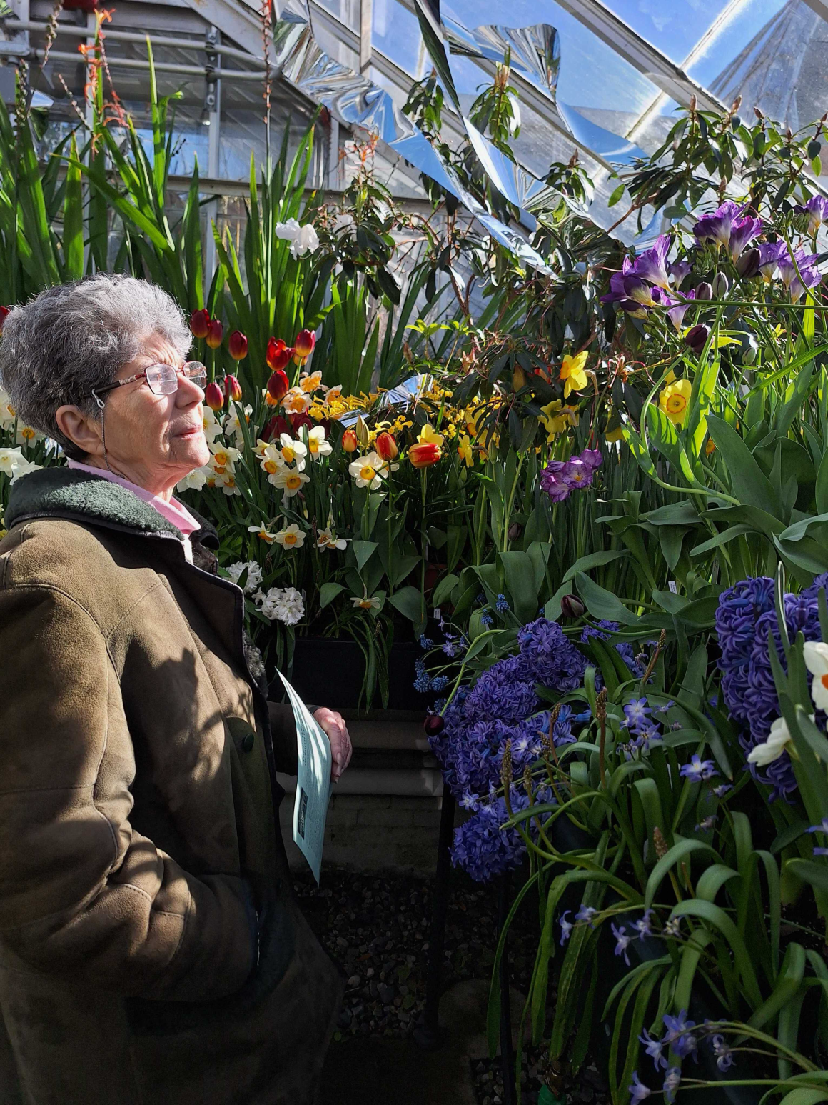 A white woman with short gray hair is surrounded by tulips in a greenhouse. She is looking at tulips in front of her, her right side facing the camera.