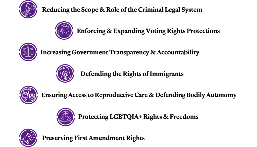 There is a list of issue areas with bullet icons that are purple circles with white icons inside them in the following order: gavel, ballot, scales of justice, passport, healthcare symbol, rainbow outline, megaphone.