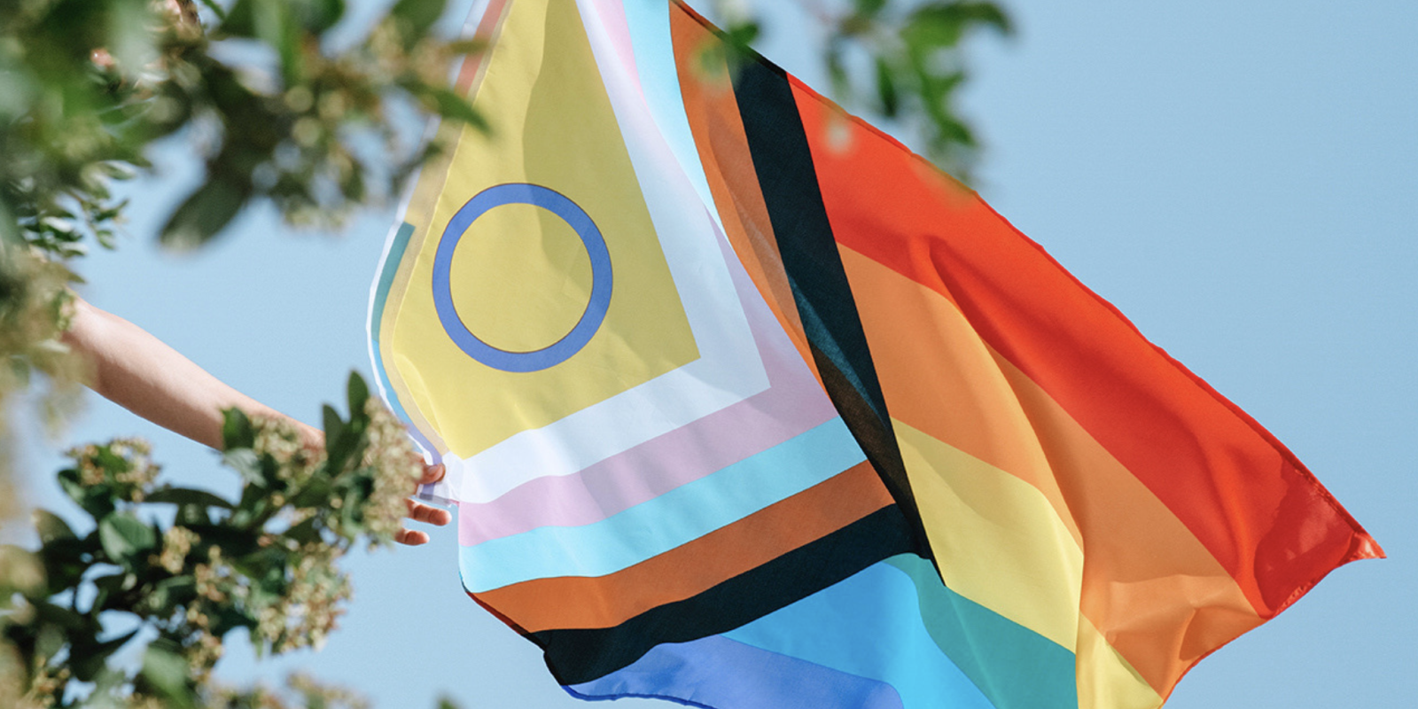 The progressive Pride flag blows in the wind behind a tree branch.