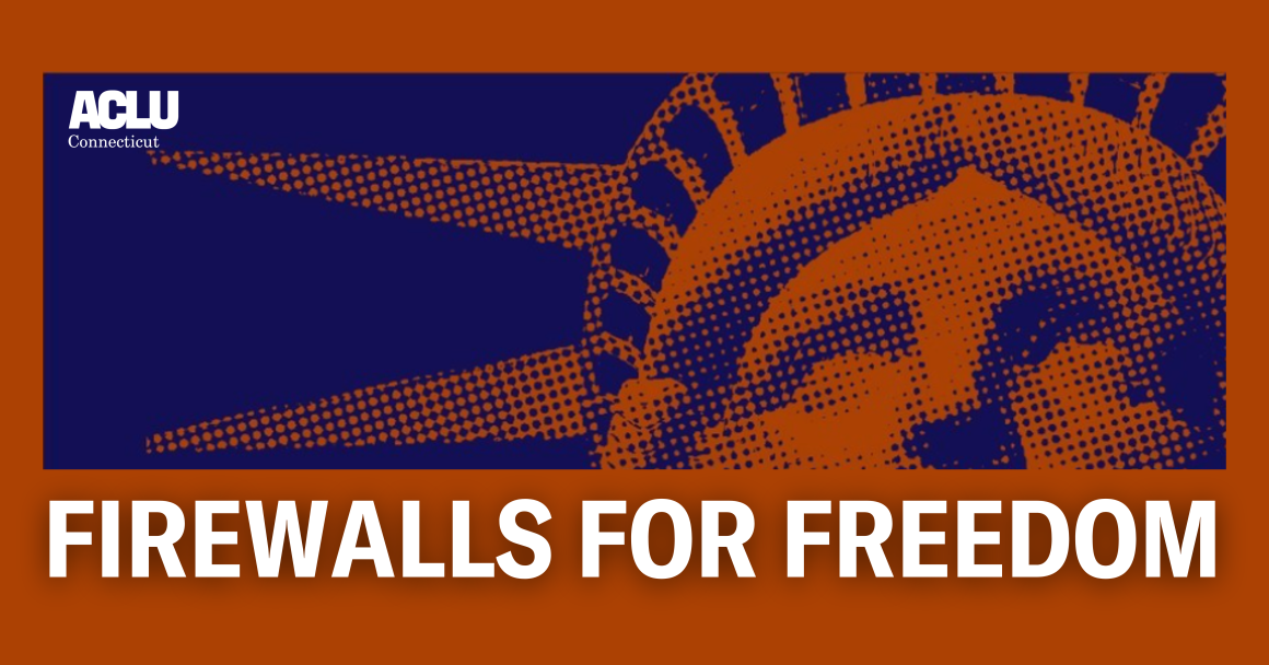 On an orange background is a zoomed in rectangular cut of the Statue of Liberty's face in dark blue. Below the cut out is white text that reads "FIREWALLS FOR FREEDOM."