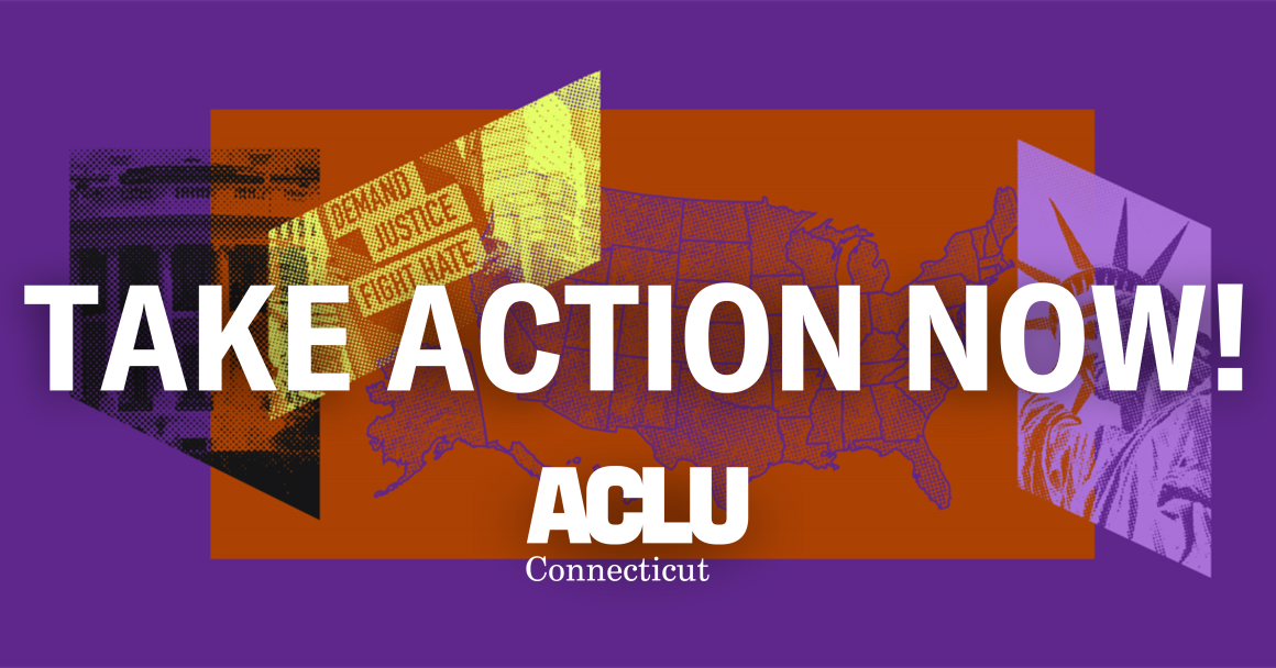 On a purple background, there is a translucent collage of a lavender Lady Liberty, yellow "Dissent is Patriotic" poster, and purple map of the US. On top is white text reading "Take Action Now!" in the center of the image with the white logo below.