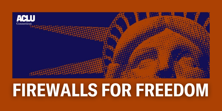 On an orange background is a zoomed in rectangular cut of the Statue of Liberty's face in dark blue. Below the cut out is white text that reads "FIREWALLS FOR FREEDOM."
