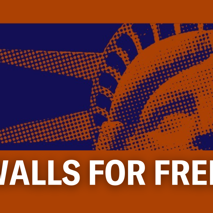 On an orange background is a zoomed in rectangular cut of the Statue of Liberty's face in dark blue. Below the cut out is white text that reads "FIREWALLS FOR FREEDOM."