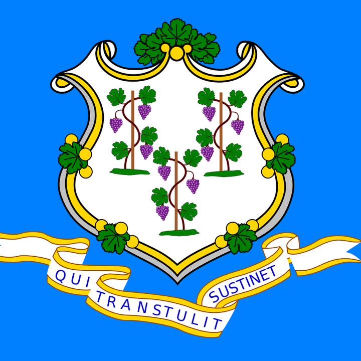 Connecticut State Flag