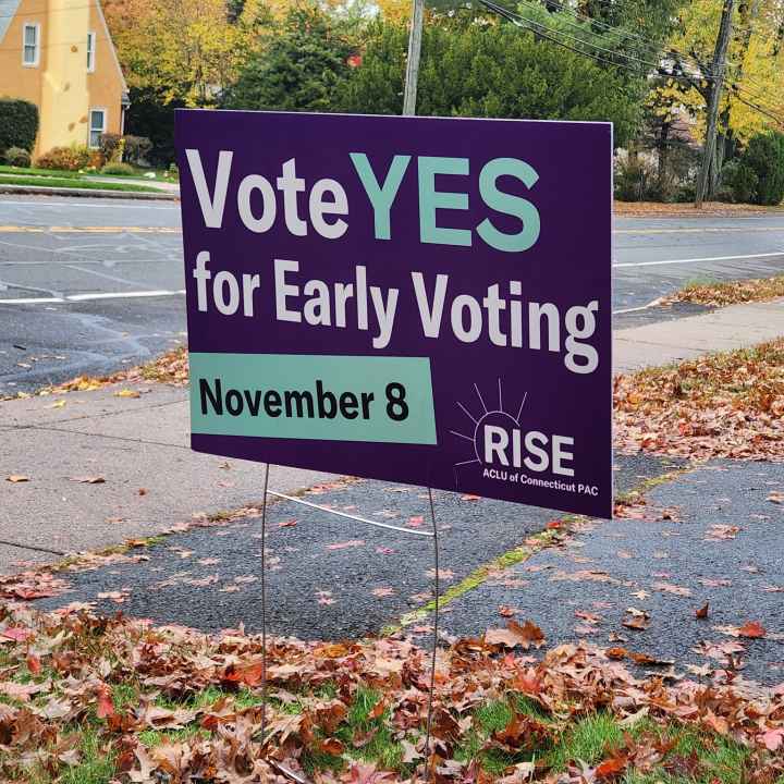 A purple yard sign, with green and white text, says, "vote YES for early voting November 8." the ACLU-CT Rise PAC logo is at the bottom. behind are a street and sidewalk, with autumn leaves scattered around