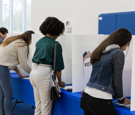 group of individuals casting their ballot at the polls